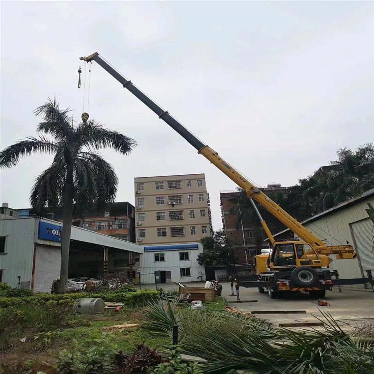 美兰汽车吊出租多少钱？全面解析与市场行情